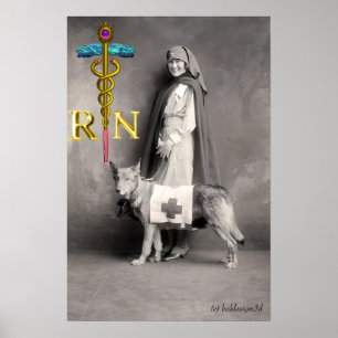Poster Infirmière et chien de sauvetage / Emblème de RN C