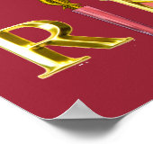 Poster INFIRMIÈRE ET CHIEN DE SAUVETAGE / Emblème RN Cadu (Coin)