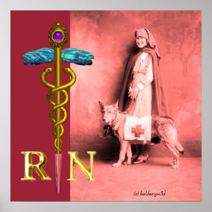 Poster INFIRMIÈRE ET CHIEN DE SAUVETAGE / Emblème RN Cadu