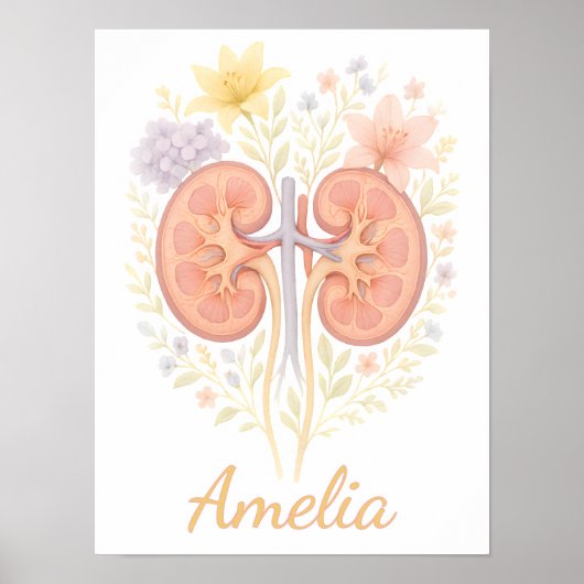 Poster Infirmière et technicien en néphrologie anatomique (Devant)