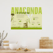 Poster Infographie : Anaconda (Cuisine)