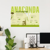 Poster Infographie : Anaconda (Bureau à domicile)