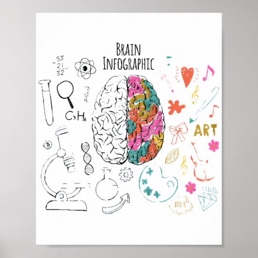 Poster Infographie du cerveau (Devant)