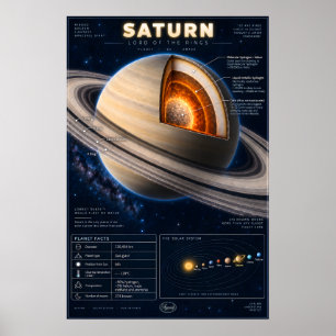 Poster Infographie scientifique en coupe transversale de