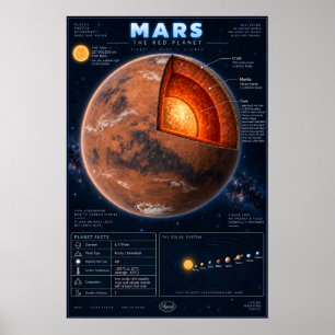 Poster Infographie scientifique sur la coupe transversale