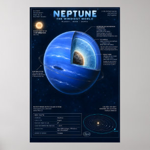 Poster Infographie scientifique sur la coupe transversale
