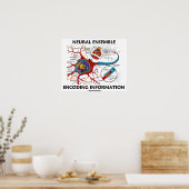 Poster Informations sur l'encodage d'ensemble neuronal (Cuisine)