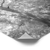 Poster Infra rouge d'arbres bâtiments et sentiers à Las 2 (Coin)