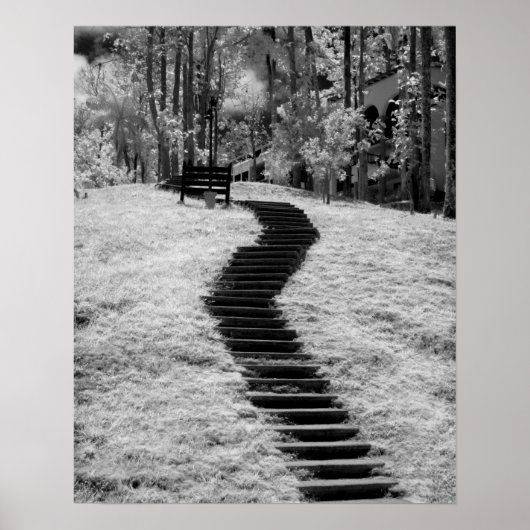Poster Infrarouge d'arbres, de bâtiments et de sentiers à (Devant)