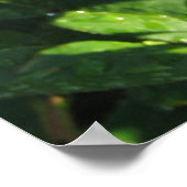 Poster Ingrid Bergman Hybrid Tea Rose 032 (Coin)