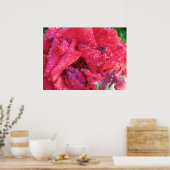 Poster Ingrid Bergman Hybrid Tea Rose 038 (Cuisine)