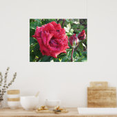 Poster Ingrid Bergman Hybrid Tea Rose and Buds 036 (Cuisine)