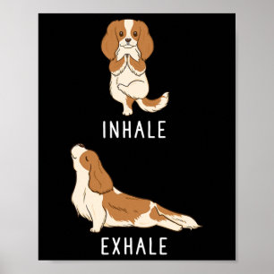 Poster Inhaler Exhaler Cavalier King Charles Spaniel Drôl
