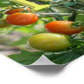 Poster Initiales de monogramme personnalisé Tomates Ceris (Coin)