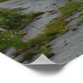 Poster Inn at Buck Hill Falls (Coin)