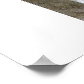 Poster Innocence Bouguereau Madona peinture d'agneau infa (Coin)