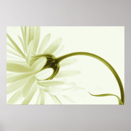 Poster Innombrable (Devant)