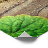 Poster Insecte de chenille de papillon jaune (Coin)