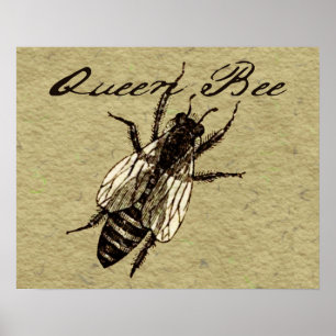 Poster Insecte de la faune de l'abeille Queen