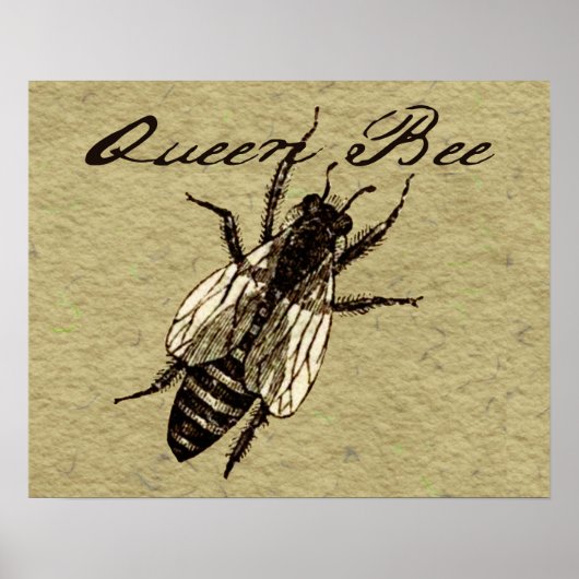 Poster Insecte de la faune de l'abeille Queen (Devant)