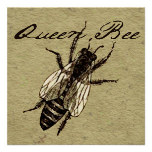 Poster Insecte de la faune de l'abeille Queen