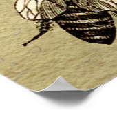Poster Insecte de la faune de l'abeille Queen (Coin)