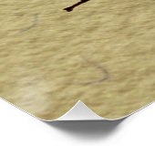 Poster Insecte de la faune de l'abeille Queen (Coin)