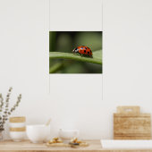 Poster Insecte de Ladybug (Cuisine)