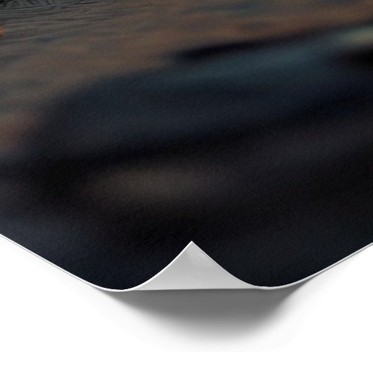 Poster insecte géant (Coin)