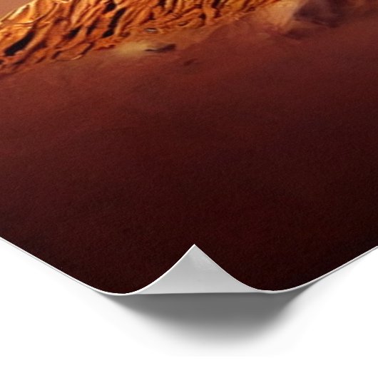 Poster insecte géant (Coin)