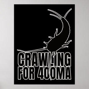 Poster Insecte primitive de poisson d'argent - Geek d'ent