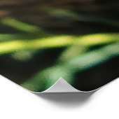 Poster Insecte sur une fleur (Coin)