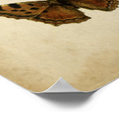 Poster Insectes de jardin par Vision Studio (Coin)