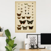 Poster Insectes de jardin par Vision Studio (Bureau à domicile)