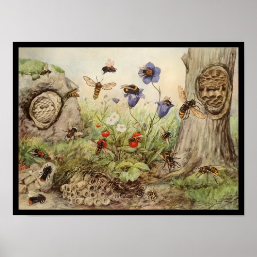 Poster Insectes des abeilles Vintage Imprimer (Devant)
