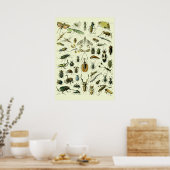 Poster Insectes Vintage (Cuisine)