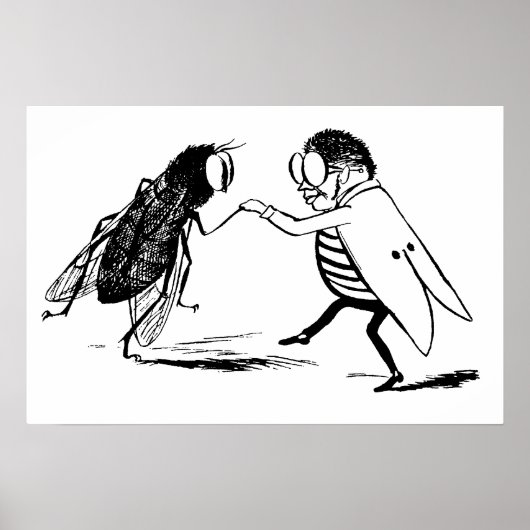 Poster Insectes vintage dansant; mouche diptère (Devant)