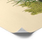 Poster Insectes vintages, Papillons, Caterpillar (Coin)