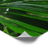 Poster Inséparable (Coin)