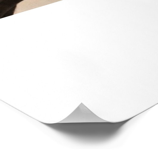 Poster Inséparable (Coin)