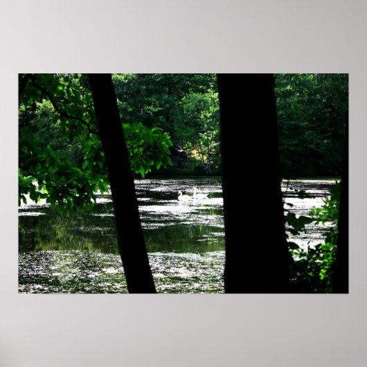 Poster Inséparables (Devant)