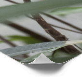 Poster Inséparables (Coin)