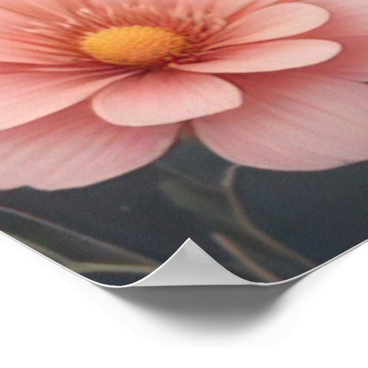 Poster Inséparables d'une succursale Nature Art (Coin)