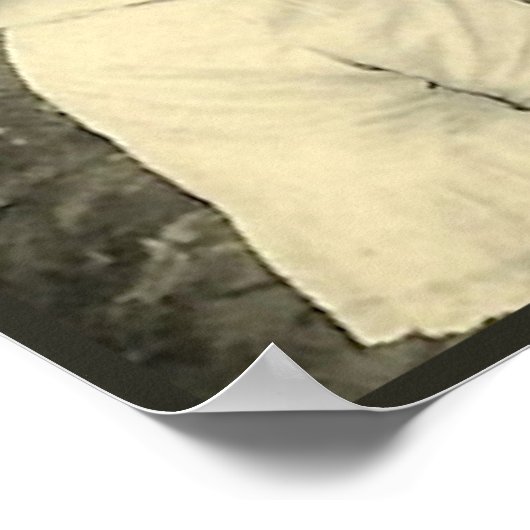 Poster Inspection (Coin)