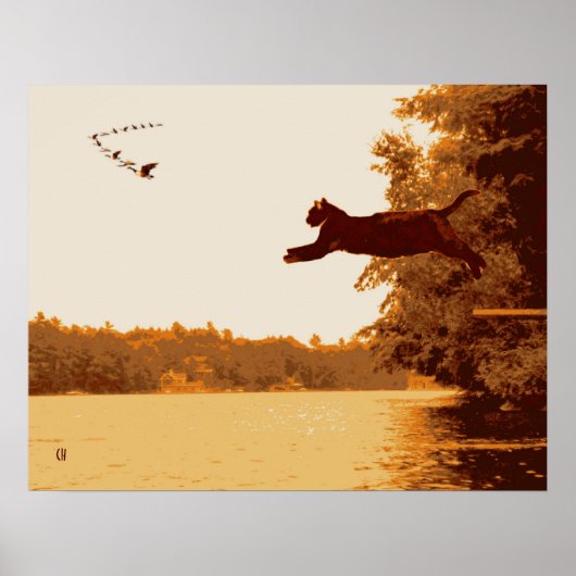 Poster Inspiration Cat (Devant)