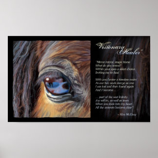 Poster Inspiration de Visionary Healer, © Kim McElroy