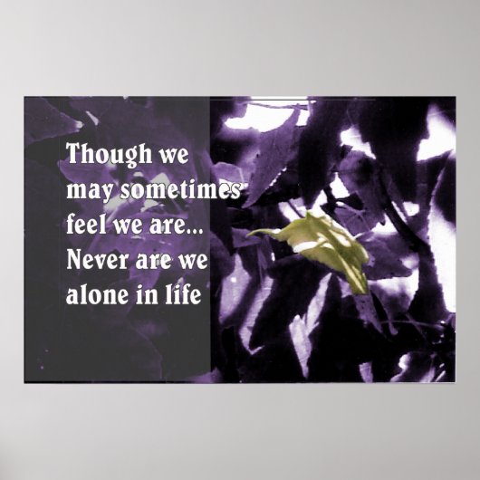 Poster Inspiration par la nature (Devant)