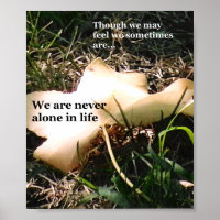 Inspiration par la nature