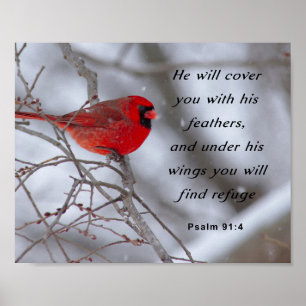 Poster Inspirational Bible Verse, Psaume 91:4