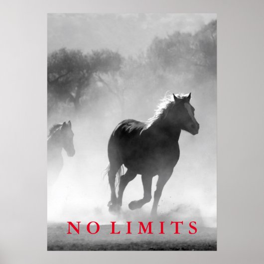 Poster Inspirationnel Sans Limites Cheval Blanc Noir Oeuv (Devant)
